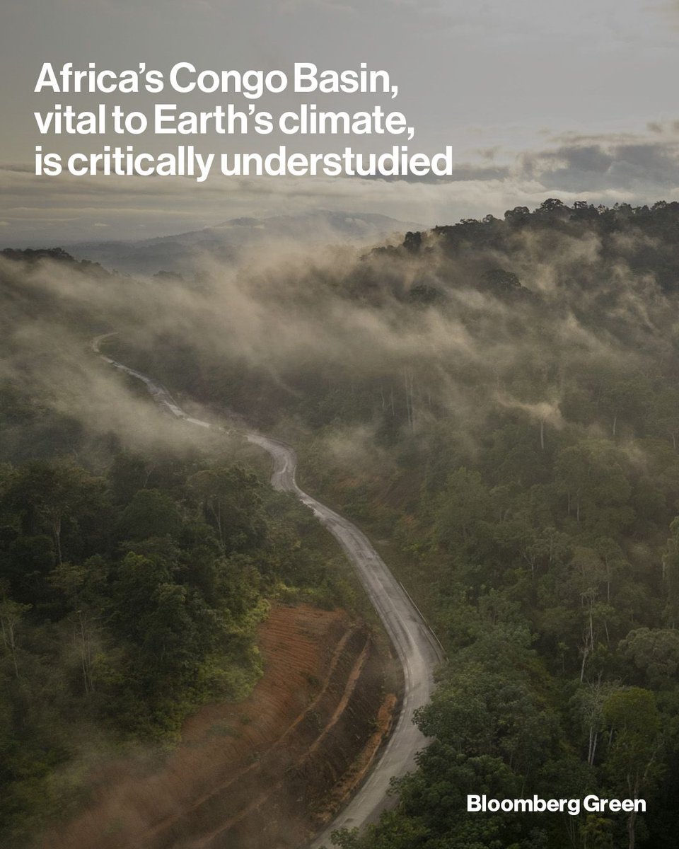 business's tweet photo. The Congo Basin is the world’s biggest tropical storehouse of carbon, yet little is known about it. A group of almost 200 scientists is trying to change that. Read more: https://t.co/BgqnxFCjoP

📷️: Guillem Sartorio/Bloomberg https://t.co/S2uAJvA4vr