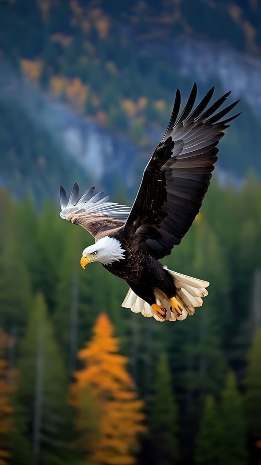 natures_picture's tweet photo. Fly https://t.co/j3lZBCUPIm