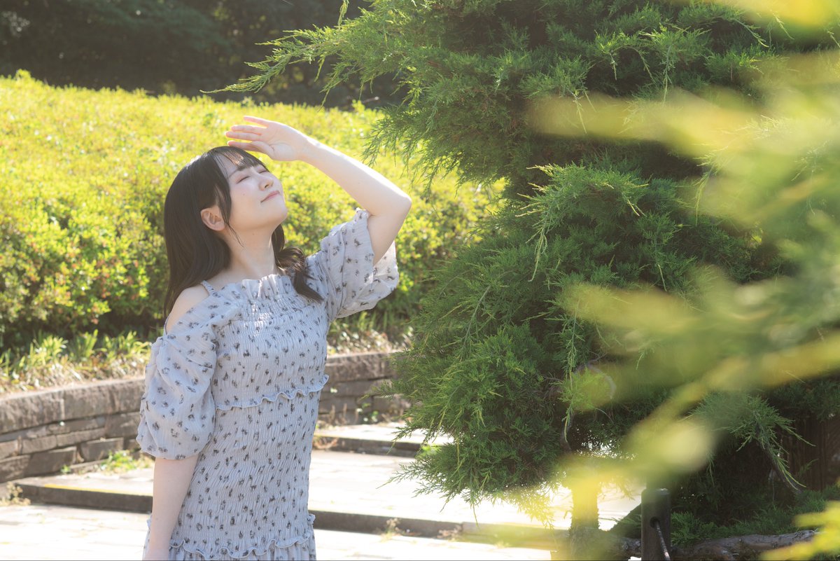 k_ramu_Lamb's tweet photo. ポートレート/portrait

いい天気！☀️

⟡.· ⎯⎯⎯⎯⎯⎯⎯⎯⎯⎯⎯⎯ ⟡.·

📸→藍翔ちゃん（@aito_cam ）

spot→昭和記念公園

  #portrait https://t.co/RpH7CKJ0G0