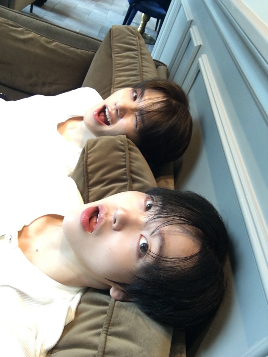 To_minhee's tweet photo. 강쥐즈 귀엽띠띠...🤍
#민희 #형준 https://t.co/WlcGWdXuBs