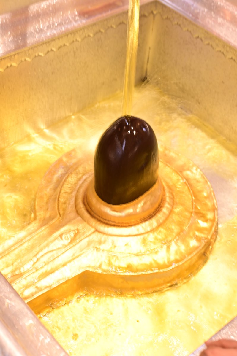 ShriVishwanath's tweet photo. श्री काशी विश्वनाथ जी की मध्यान्ह-भोग आरती I
#kashi #darshan #kashivishwanath #VishwanathDham #blessings https://t.co/p56VIgQ37c