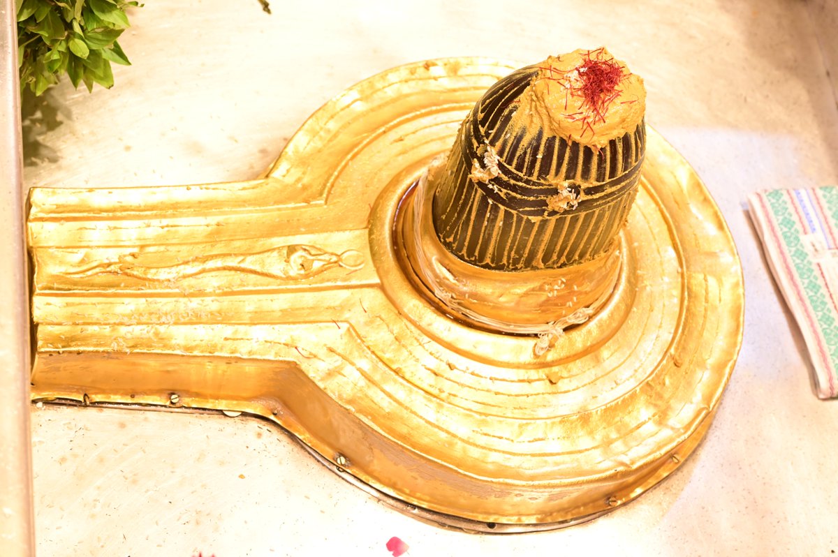ShriVishwanath's tweet photo. श्री काशी विश्वनाथ जी की मध्यान्ह-भोग आरती I
#kashi #darshan #kashivishwanath #VishwanathDham #blessings https://t.co/p56VIgQ37c