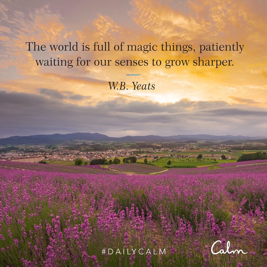 marinemajor's tweet photo. Hey! I think you'd like this session from Calm. For a limited time, you can also get a free 30-day guest pass to try the whole library of content and activities.
https://t.co/ubfWdAc5W8 https://t.co/i7HJfc7K8L