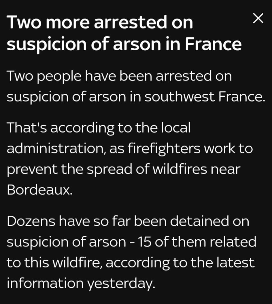 MediaSOI's tweet photo. Imagine how fucked in the head you have to be to set woods on fire, to try and push your climate change fantasy https://t.co/ItQXAlXBPI
