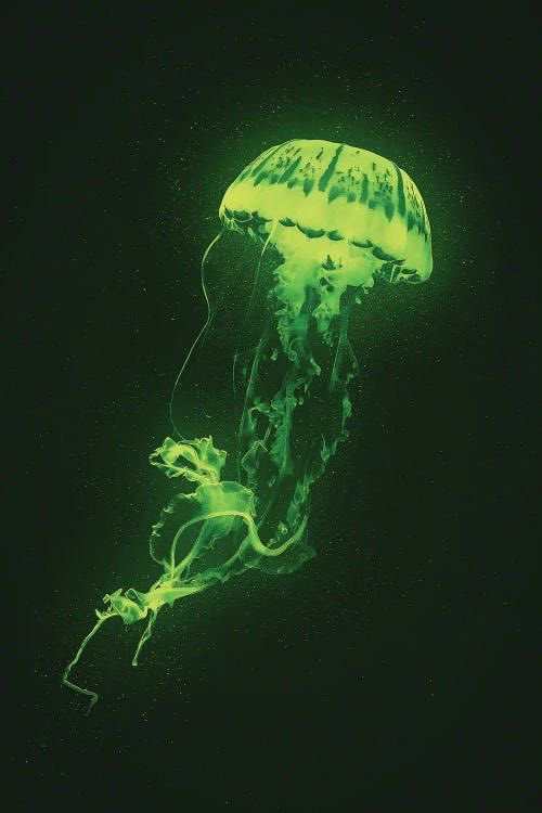 LiminaliTyr's tweet photo. Green https://t.co/aOSL5pMwGN