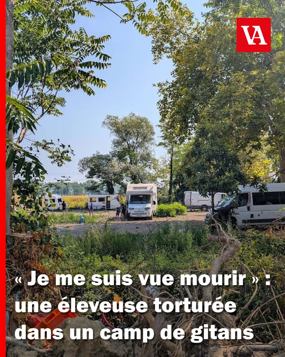 Valeurs tweet picture