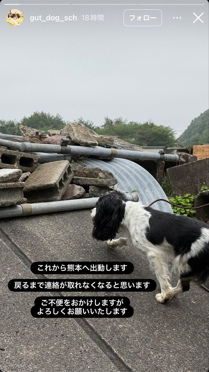 nemo_20240327's tweet photo. キャバリアが熊本の救助に向かってる
みなさん応援してあげて下さい
https://t.co/TblSNk588Y https://t.co/J6SaXdstf9