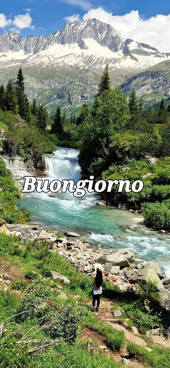 JaimeIsmaelRod1's tweet photo. @RobertaMalinve1 Buongiorno bela https://t.co/FldrPflKbv