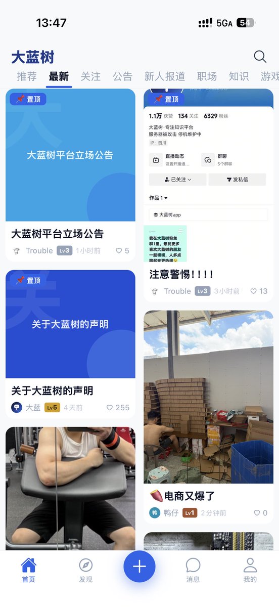 dingwenlei1's tweet photo. 大蓝树可以用了 https://t.co/CNFIJyJGa5