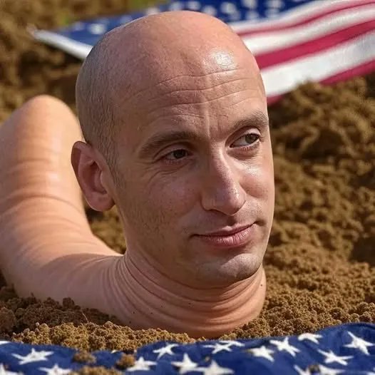 ier_bill's tweet photo. @StephenM Oh, little bitch steven. Such a pathetic loser.  Did you pick up your garbage in high school?  Is your baldness caused by LOW  T? https://t.co/YuEM8mTDPJ
