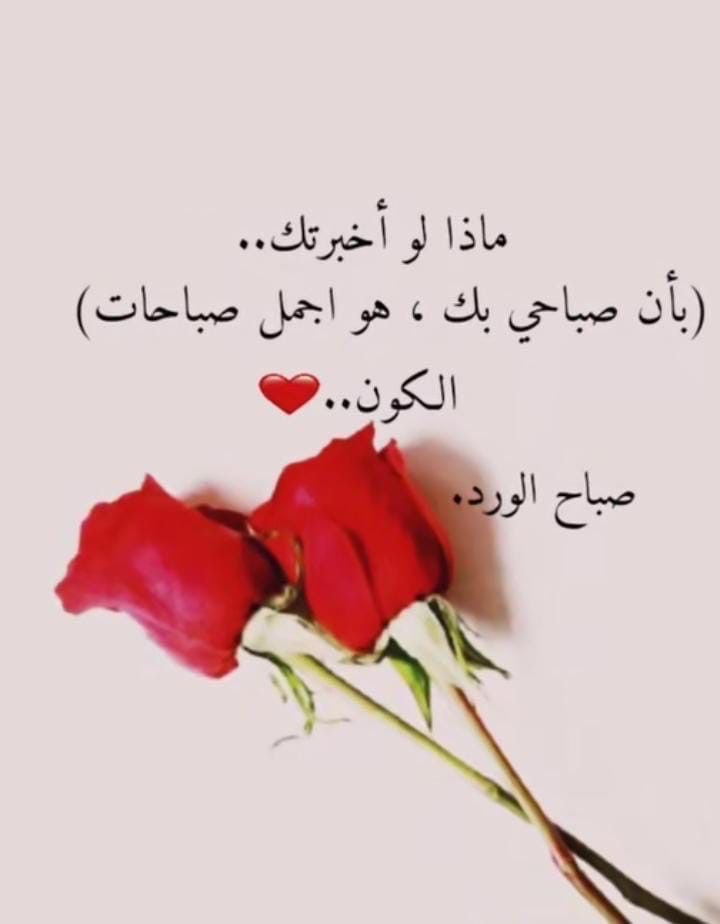 ilipxer's tweet photo. 🌷🌷❤️ https://t.co/Hq3YoM0sXl