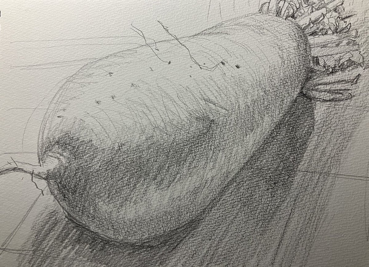 jkkurudo's tweet photo. @nasunegidaikon @onEfmu3YhnWceu7 ハエがたかりそうな大根
無職のえんぴつ作 https://t.co/jlh8931c4p