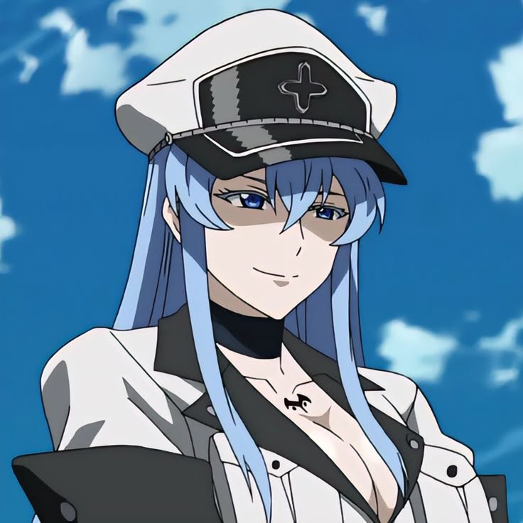 RobertVale736's tweet photo. @HoneyQueenS_ No se si aun se pueda pero puede ser esdeath de akame ga kill https://t.co/x2Yn9t5d5H