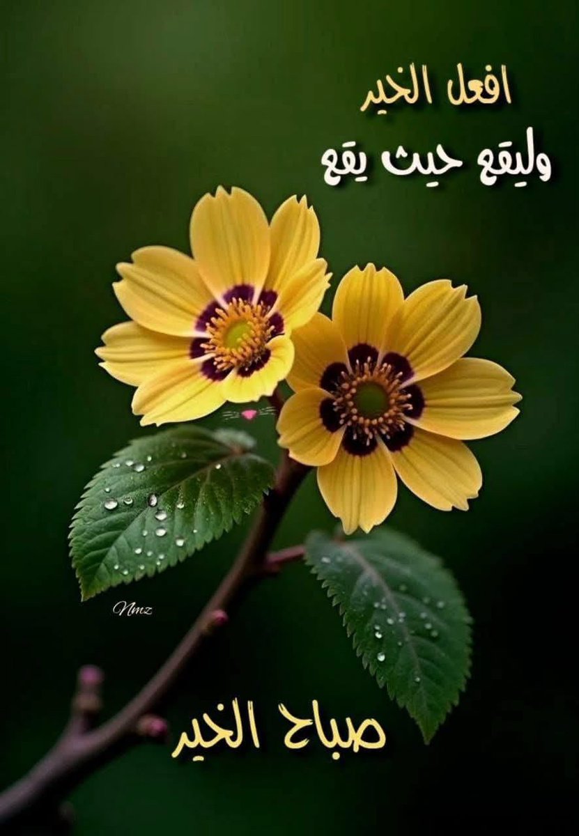 lady206__'s tweet photo. https://t.co/7tWOz04oTC