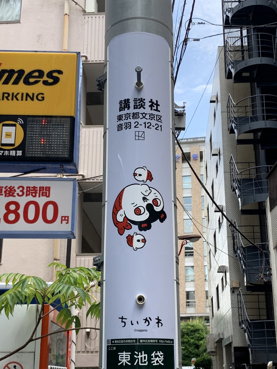 sogohodopopeye's tweet photo. 東池袋の #ちいかわ 電柱広告✨
1本ビジュアルが変更されてレア枠のセイレーンが1本増えました🧜
元々掲出されていたセイレーンも映画公開を記念して新ビジュアルに👀
2種類のセイレーンを探して水分補給しながら歩きました🚶

電柱広告は計20本▼
https://t.co/TJWqTBC0EL
https://t.co/SSGVqelWjL https://t.co/XTVZEnmo40