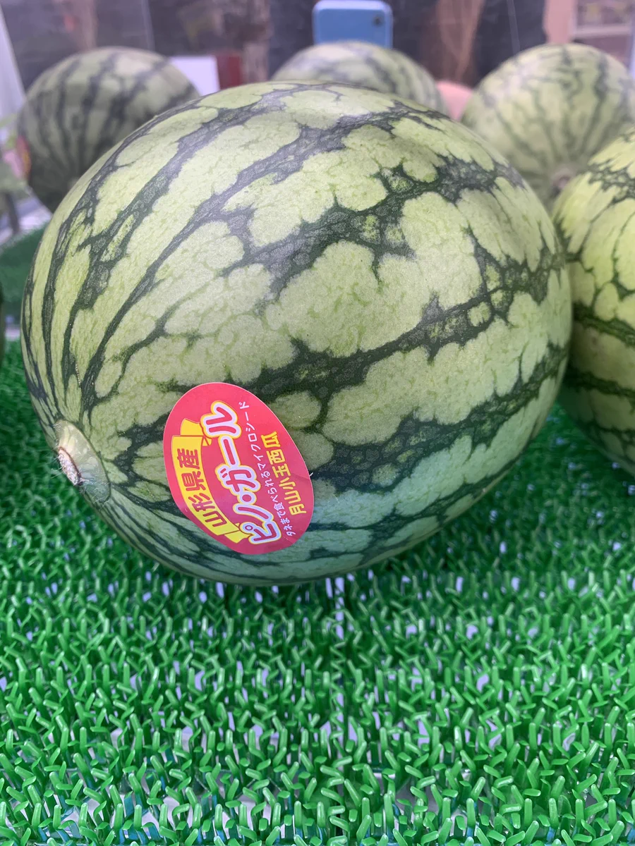 ガラクタ鑑定団小山総本店プライズコーナー on X: 