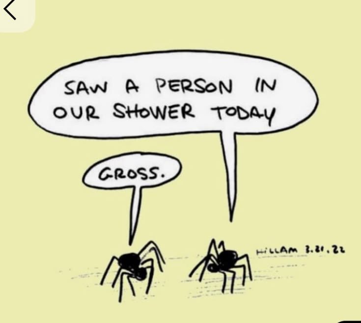 MemeShredder's tweet photo. 😆😆  #Meme / #DankMemes / #MemeOfTheDay / #Shitpost 😆😆 https://t.co/8qsBcqOY43