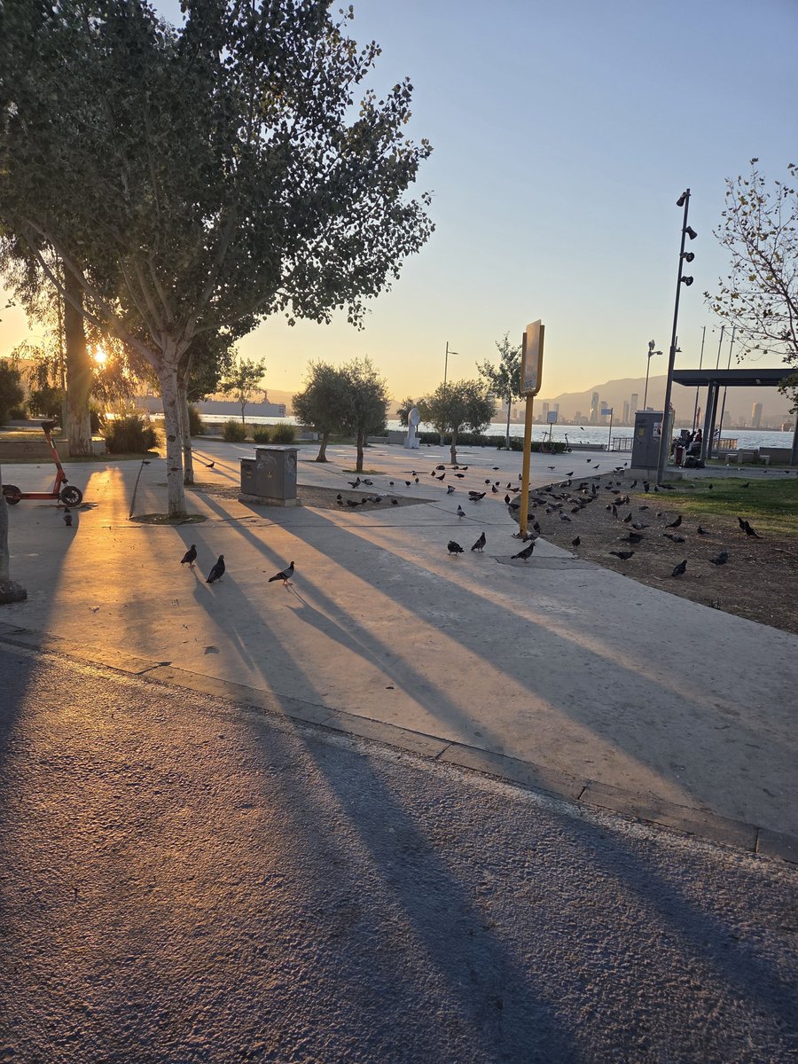 Dillemmaa1's tweet photo. Sular hep aktı geçti
Kurudu vakti geçti nice han nice sultan tahtı bıraktı geçti
Dünya bir penceredir her gelen baktı geçti.
Bizde bakalım güxel yerinden güzel gününden doğum günümden...
Günaydın💕 https://t.co/Jh0I7PFYqF