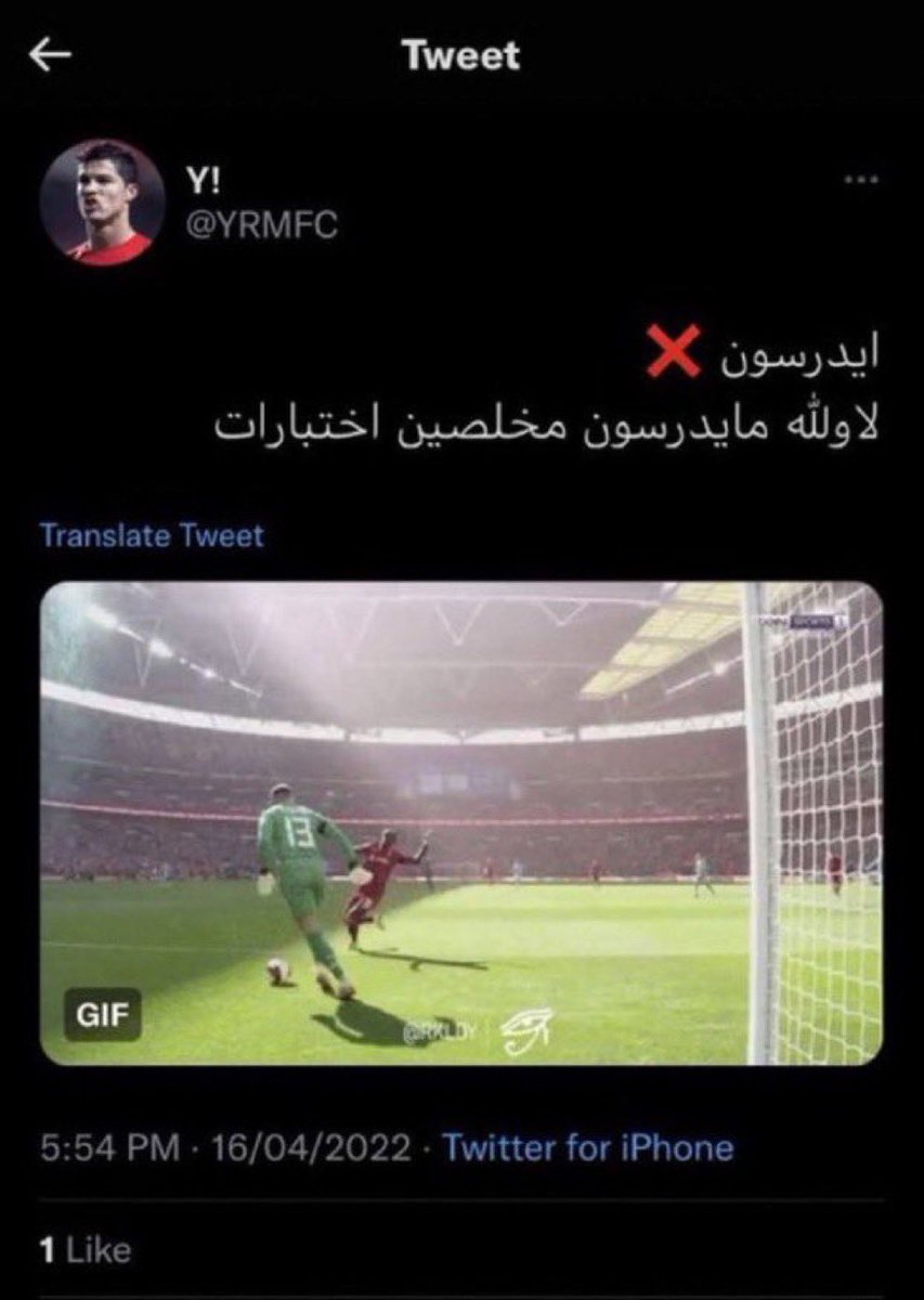 i tweet media