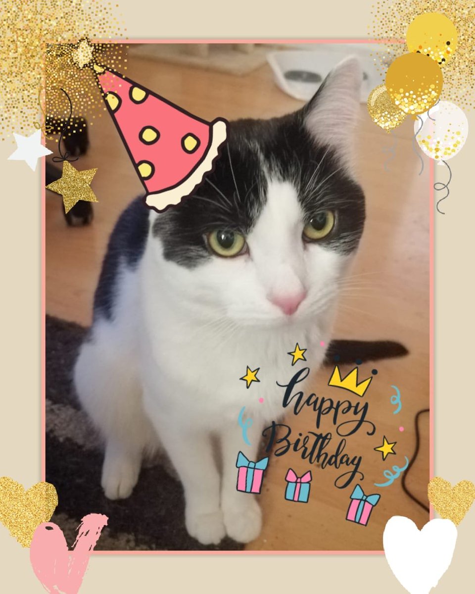 Mellimaus17's tweet photo. Heute vor 8 Jahren hast du das Licht der Welt erblickt 🐱ich wünsche dir alles gute zum Geburtstag 🎂 mein großer Prinz 🎂 auch wenn ich nicht bei dir sein kann 😭😭😢😢 bin ich trotzdem bei dir und zwar in deinem Herzen ❤️ mein großer Prinz 🐱🥰
Happy birthday 🎂🎂hab dich lieb https://t.co/rf9QBdHfgm