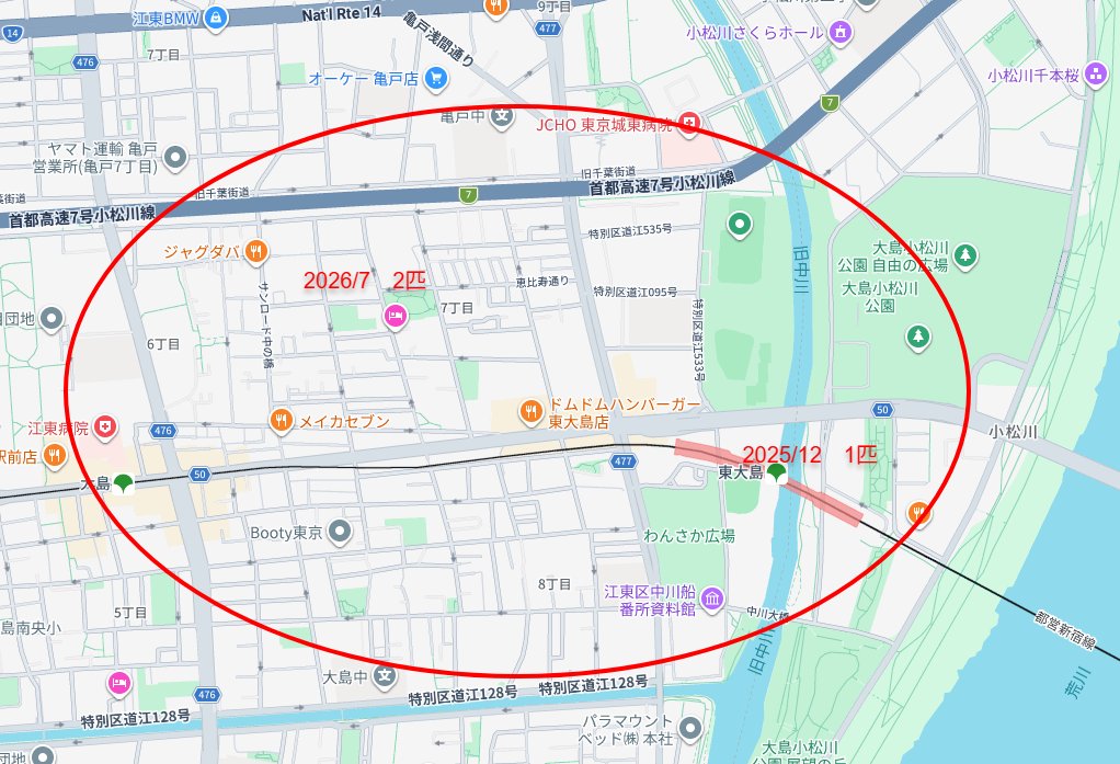 ham_edia's tweet photo. 【注意喚起】
ハムスターを遺棄することは犯罪です。

去年の12月に1匹、そして今月には2匹の子が地図の周辺で見つかっています。
警察には、周辺のパトロール強化をお願いしました。

お近くにお住いの方や、お仕事で周辺を通ることがあれば、気にかけていただければ幸いです。

#ハムスター https://t.co/la854W9rar