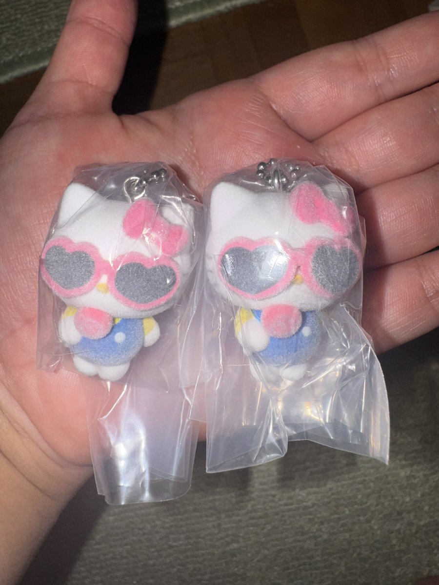 snmmpdz07's tweet photo. サンリオ フロッキーマスコットスイング
～かわいいだけじゃない～

【譲】キティ
【求】ポムポムプリン

郵送交換or梅田,難波,河原町であれば手渡し可

出先のためIDなしです

 #サンリオ  #サンリオ交換 https://t.co/iWrafvzLd6
