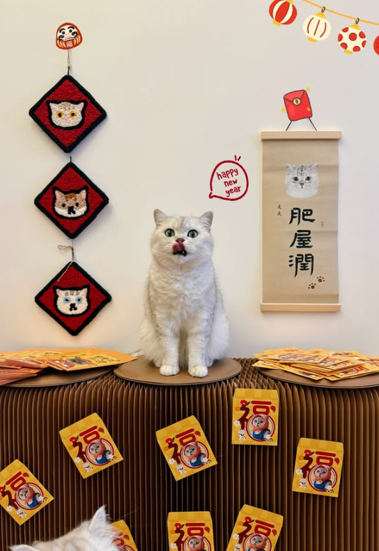 pipicat26's tweet photo. The decorations are ready, the lucky envelopes are deployed, and Pipi is standing at the center of prosperity headquarters. 🧧🐱

Good luck begins when the Boss arrives.
$皮皮 #PipiTheBoss https://t.co/ys6cXpbXSC