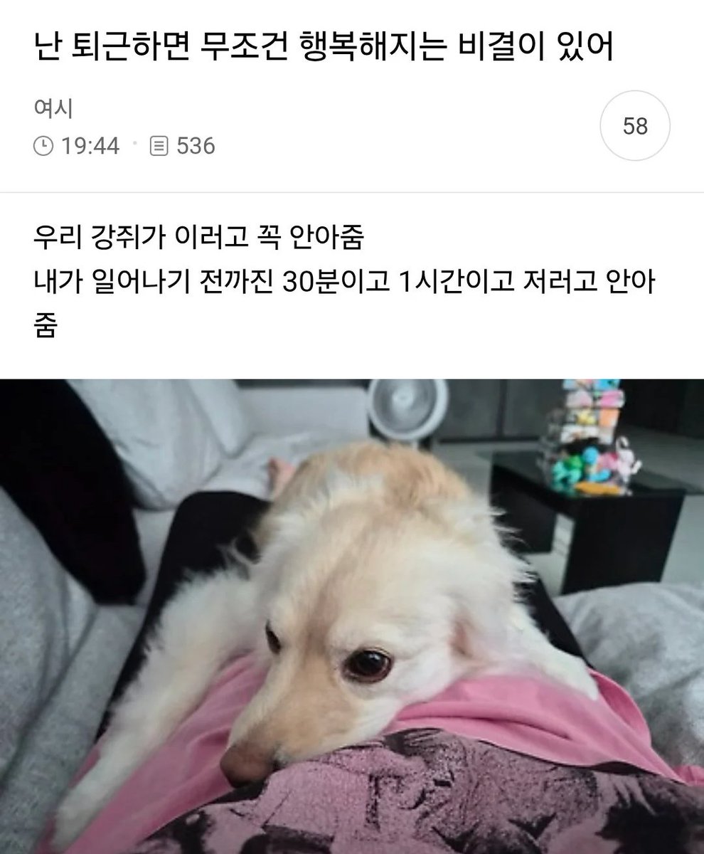 healing_storage's tweet photo. 난 퇴근하면 무조건 행복해지는 비결이 있어 https://t.co/ldTcBRb8Rh