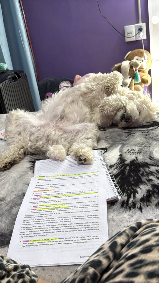 valeeemoyaa's tweet photo. Mis compañeros cuando estudio🥰
Mi rocky y mi cholito ❤️ https://t.co/HkNdu9lxN7