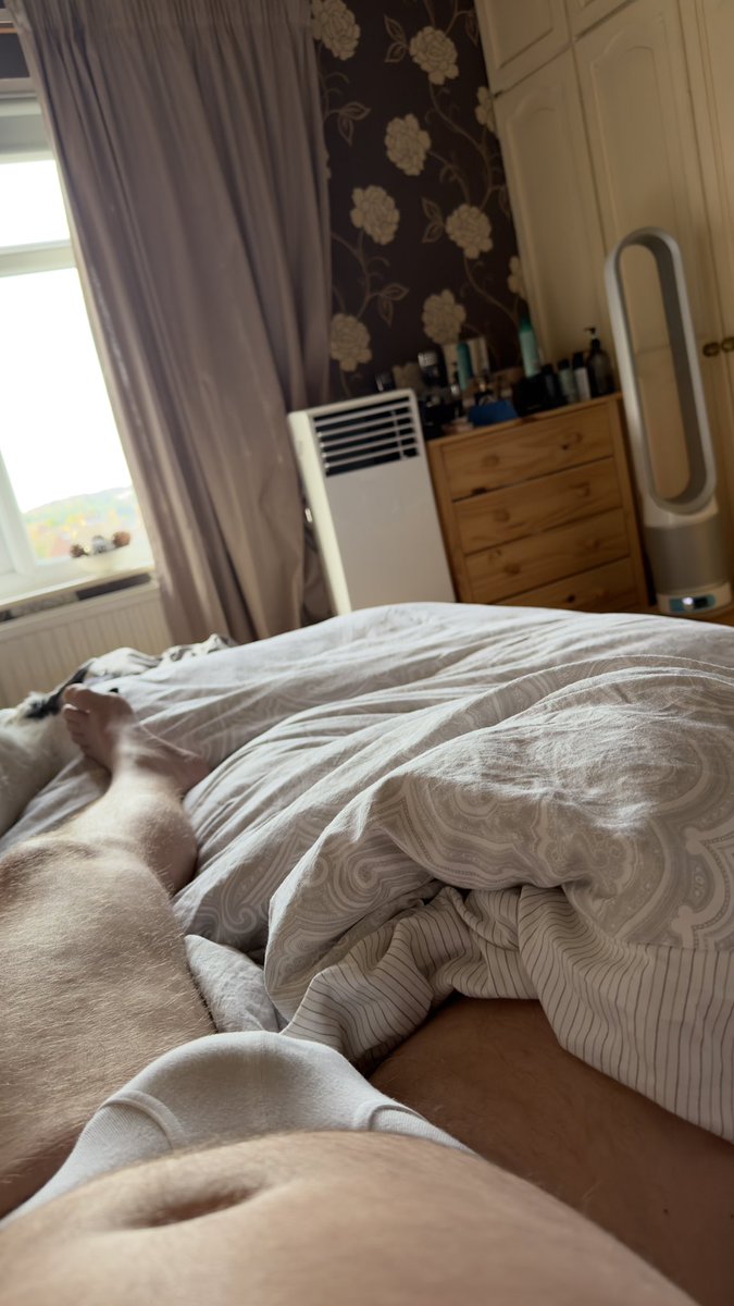 🌱📷 Shaun Through the Lens (9K)🇬🇧🇺🇦🏳️‍🌈 tweet media