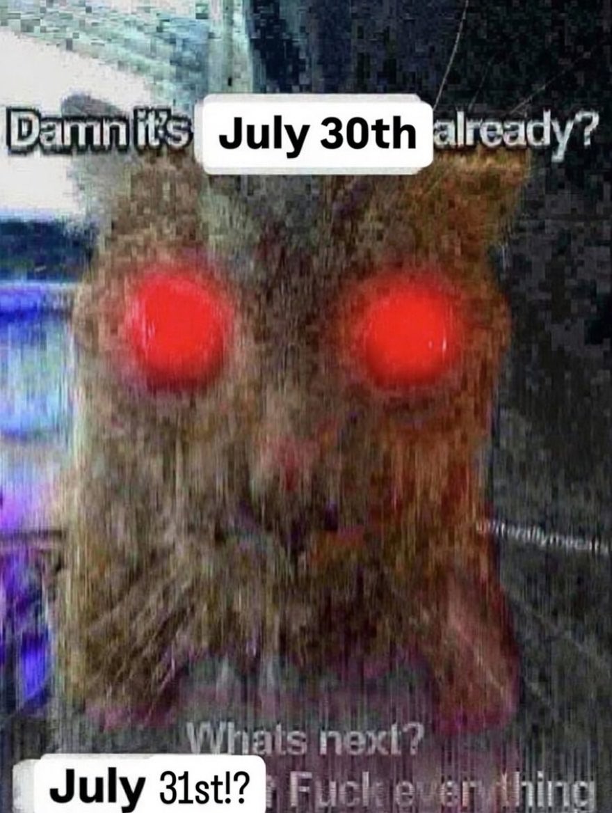 literallymecats's tweet photo. https://t.co/weVbIvmDV3