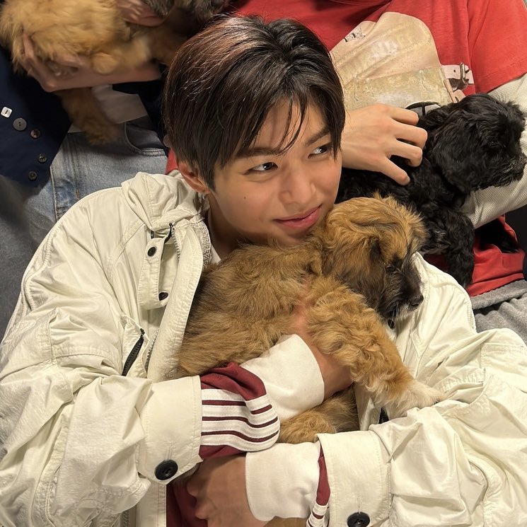 krtsi0_'s tweet photo. 건호와 강아지 https://t.co/A4NlLVPiCa