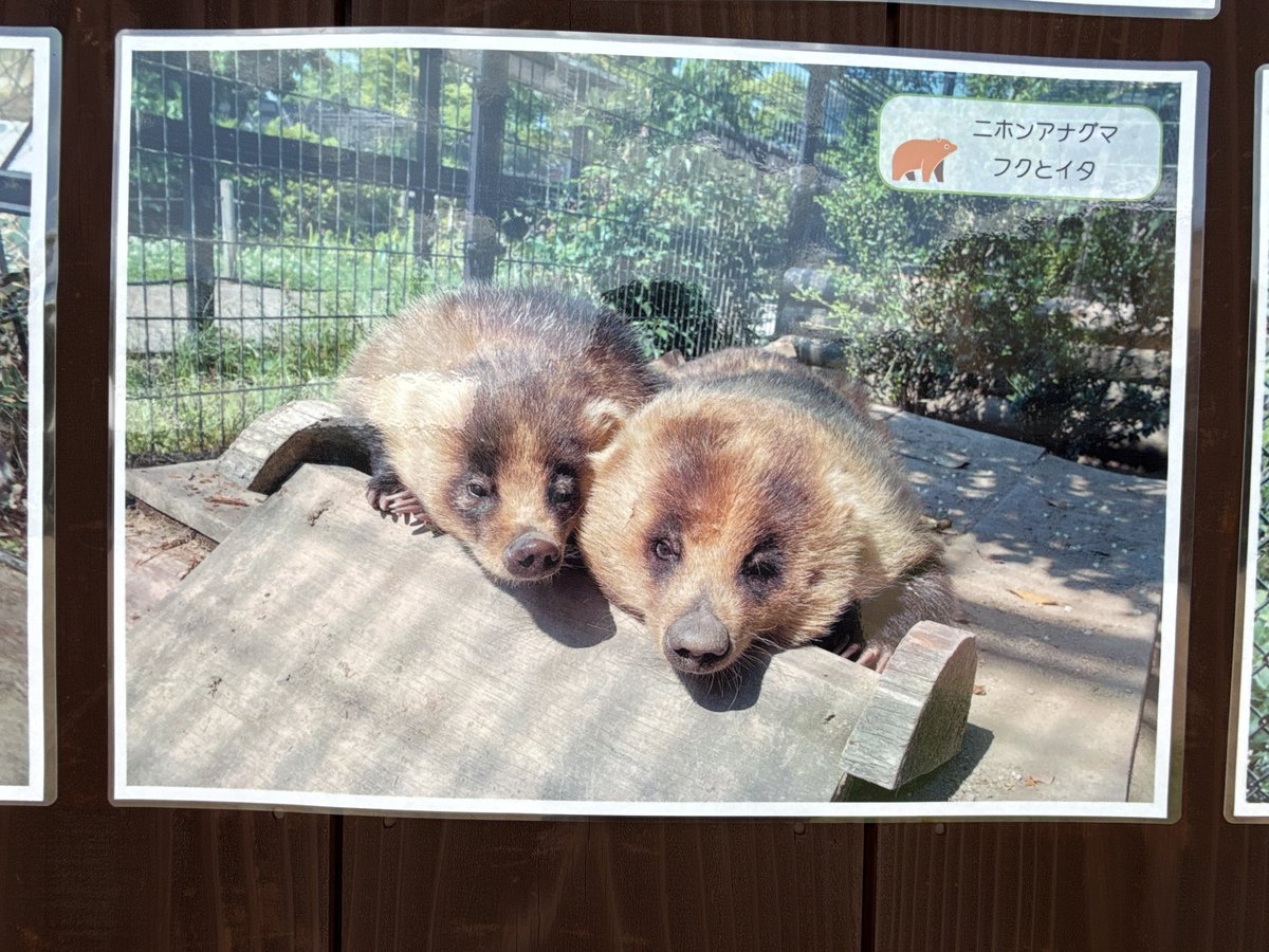 エリア毎に写真があるんだけど、懐かしさで胸がいっぱいに…😢❤️①