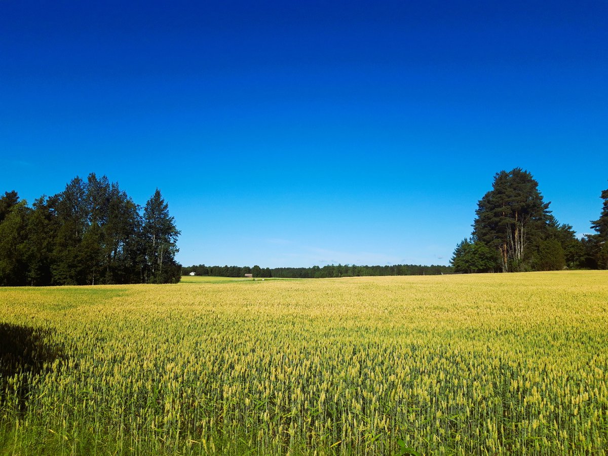 RoboScottTT's tweet photo. I love the back half of July, when Summer's "complete". Nature's green is at its deepest, and light comes someway softer. It's my favorite time of the year. https://t.co/syug8KHjsl