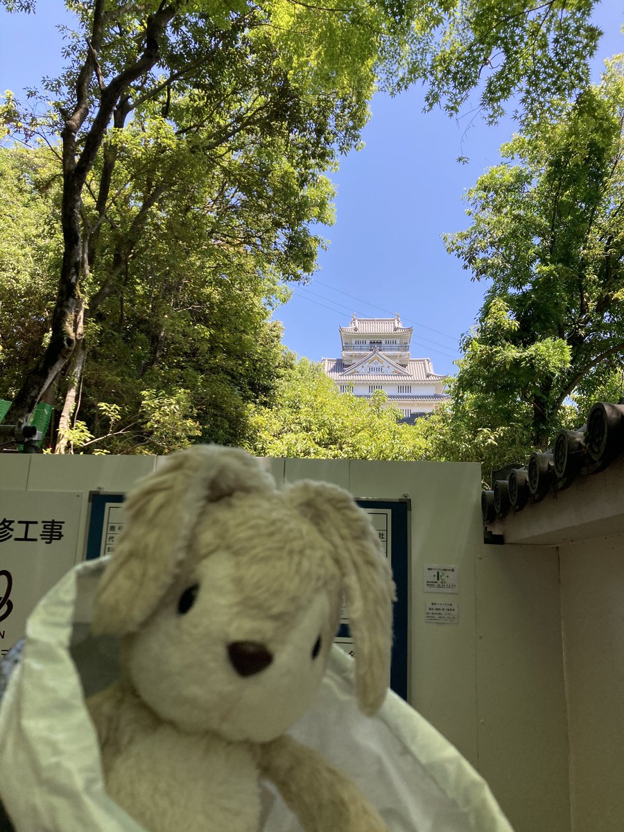 usane_nui's tweet photo. うさね「ロープウェーでおわりじゃないのー？
「あとちょっとだけ のぼるんだってー https://t.co/K07zLvs1RG