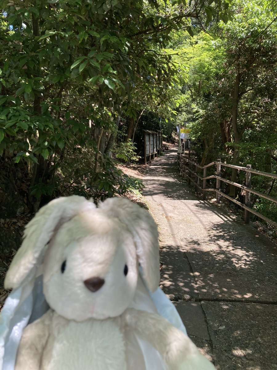 usane_nui's tweet photo. うさね「ロープウェーでおわりじゃないのー？
「あとちょっとだけ のぼるんだってー https://t.co/K07zLvs1RG