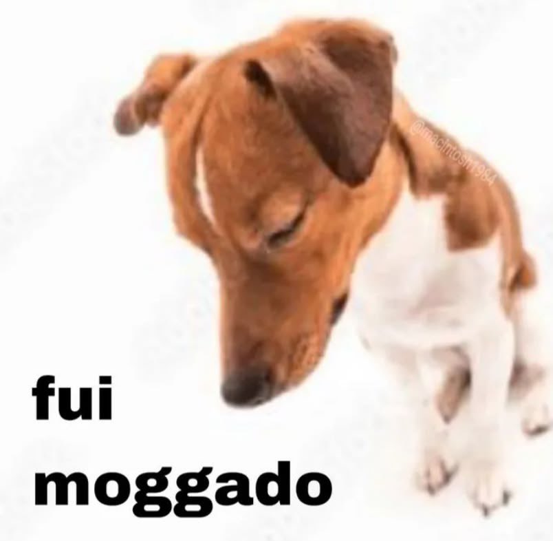 fgaspar81's tweet photo. nao era pra eu estar me sentindo assim tão rápido https://t.co/7FsIQUB9kg