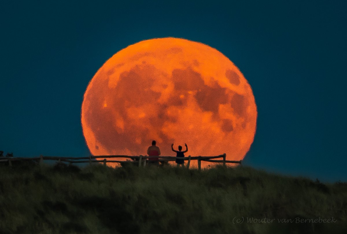 StormchaserNL's tweet photo. 🌔 Weergaloze opkomst van de volle maan! In de duinen bij Zandvoort heb je enkele uitzichtpunten die boven het landschap uitsteken. Deze foto heb ik op ruim 1 km afstand van de voorgrond geschoten. Instructies voor de beste plaats deden we via de telefoon, gisteravond rond 22u 👇🏻 https://t.co/oXteDfKCEN