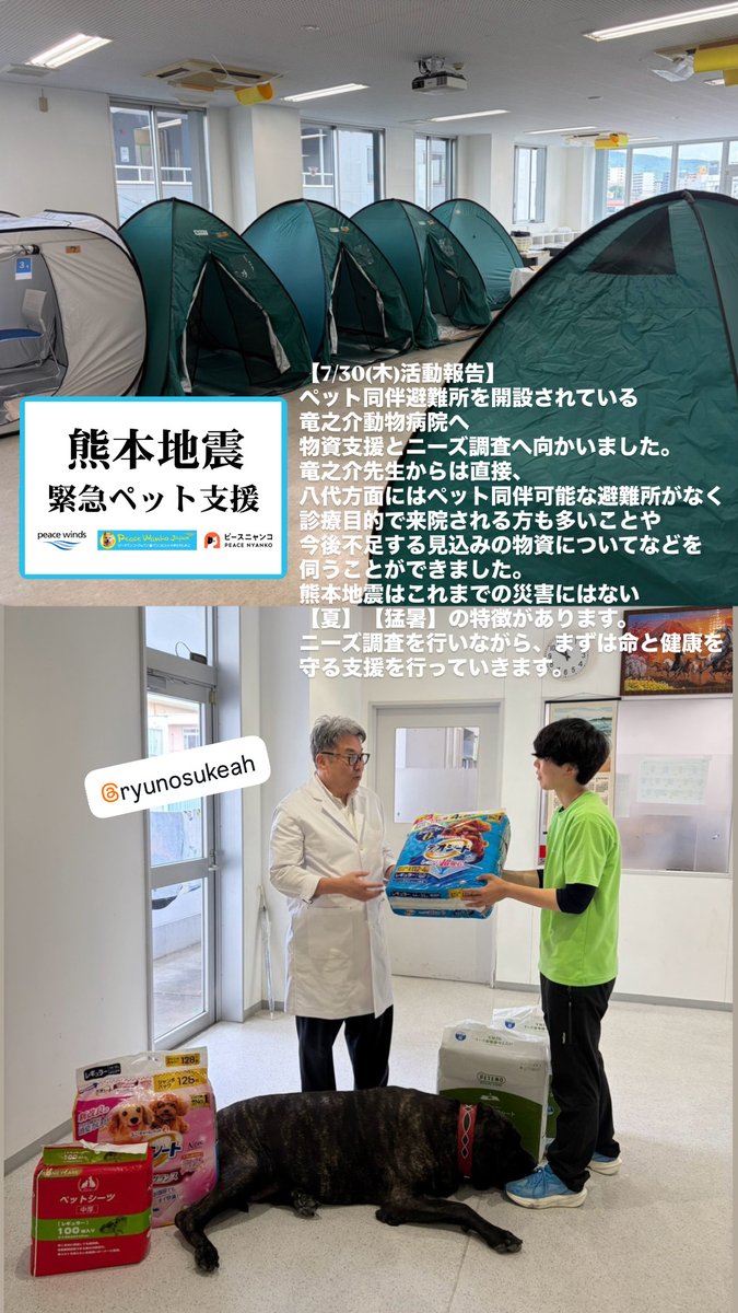 PeaceWankoJapan's tweet photo. 【令和8年熊本地震】
ピースウィンズ・ジャパンが運営する「ピースワンコ・ジャパン」「ピースニャンコ」より、緊急ペット支援チームを派遣しました
▽熊本地震緊急ペット支援 特設ページ
https://t.co/ce8yyAM7UQ https://t.co/UjvvqfZVEM