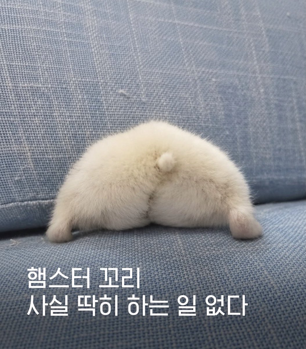 Bokdong_pv's tweet photo. https://t.co/OxMeW0GVmZ