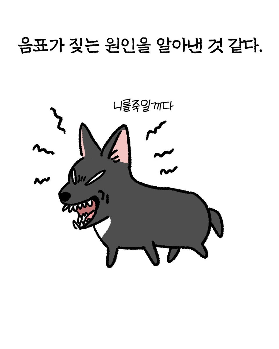 _Ggogam's tweet photo. 황당한 강아지 임보일기
(타래로) https://t.co/PFk0jCQaby