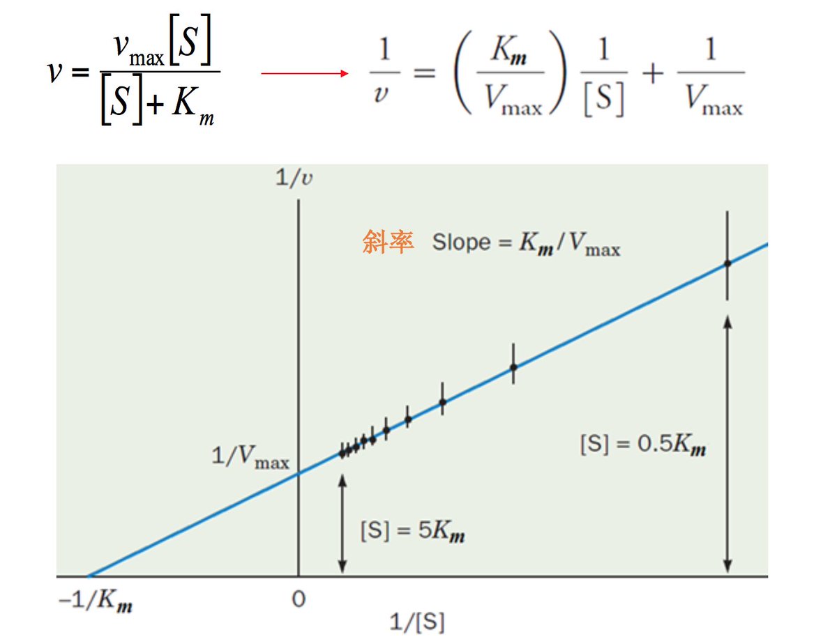 TakakoTrynbz6w's tweet photo. Just nailed today’s biochem enzyme kinetics quiz!  Finally get the Lineweaver-Burk plot after weeks of practice. Small win = big motivation for next week’s exam. #StudyWin #BiologyStudies， https://t.co/DamSLWOAPn