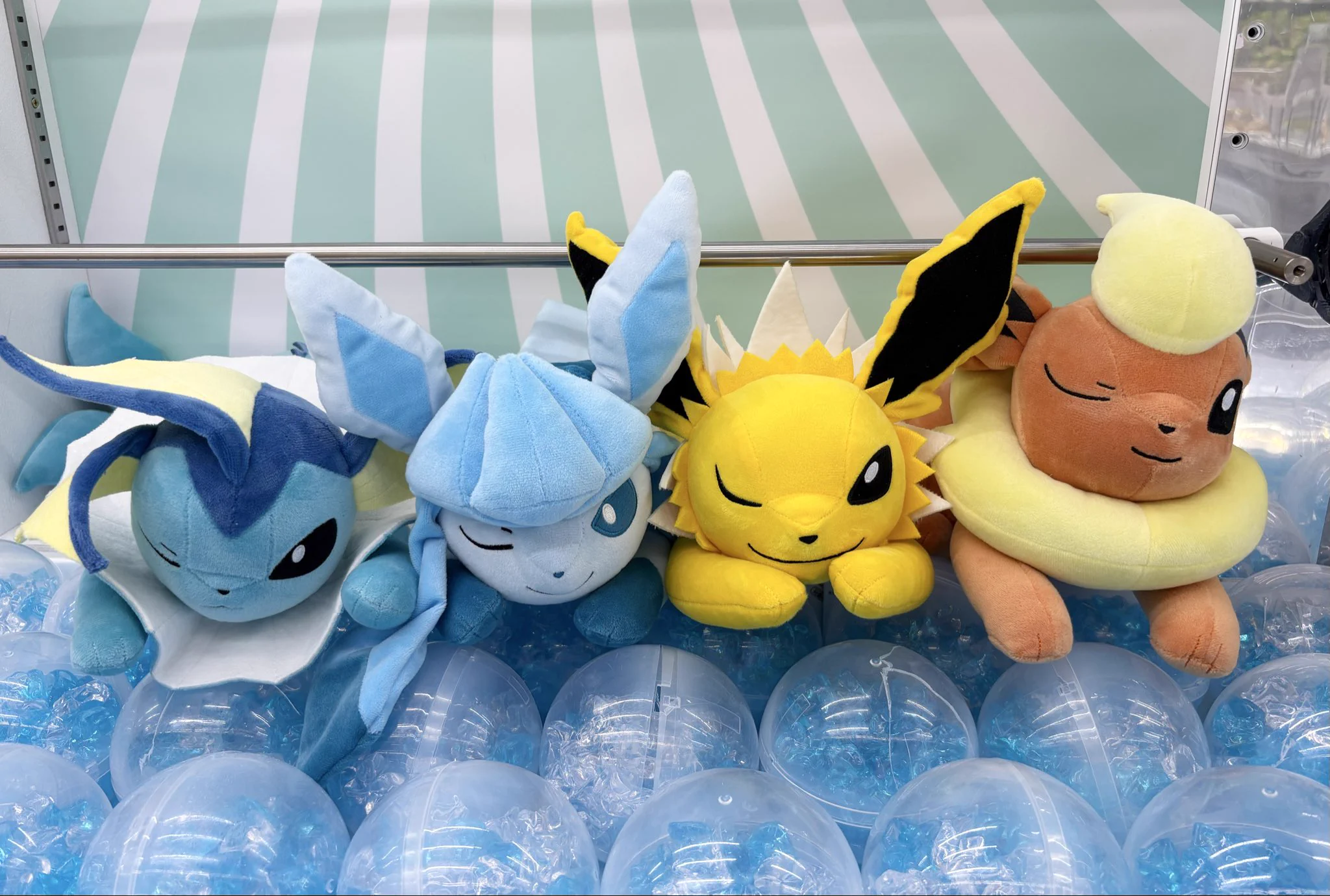 XユーザーのOTAICHI!!POP!!WORLD!!岐阜大垣店さん: 「＼ぬいぐるみ入荷