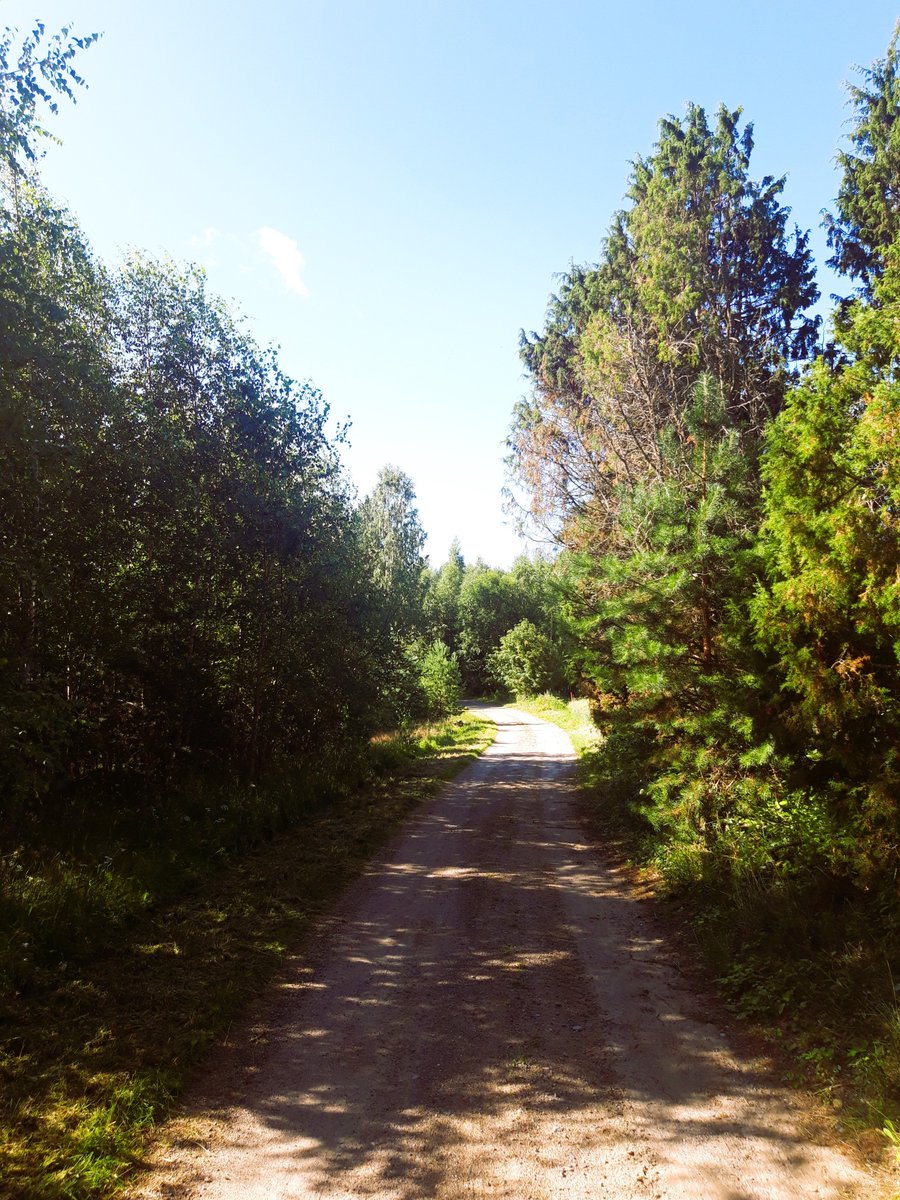 RoboScottTT's tweet photo. I love the back half of July, when Summer's "complete". Nature's green is at its deepest, and light comes someway softer. It's my favorite time of the year. https://t.co/syug8KHjsl