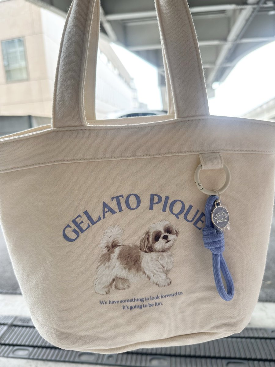 gumachan's tweet photo. ジェラートピケでシーズーのシリーズを見つけた！次は部屋着とドッグウェアを買おうかな
#ジェラピケ
#シーズー https://t.co/Wvmj0b6LJg