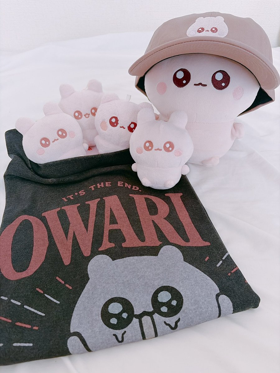 うちゃ (@kotsume_cha) / Posts / X