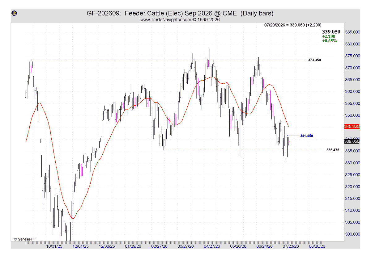 InsiderWeek's tweet photo. Feeder Cattle – Possible Bear Trap

I’m coming back to Feeder Cattle once again. The break below support was quickly bought back, suggesting that the long setup — and the potential bear trap — may finally be starting to work.#FeederCattle #GF #CattleFutures #Livestock #FuturesTrading #Commodities #TechnicalAnalysis #BearTrap #CME