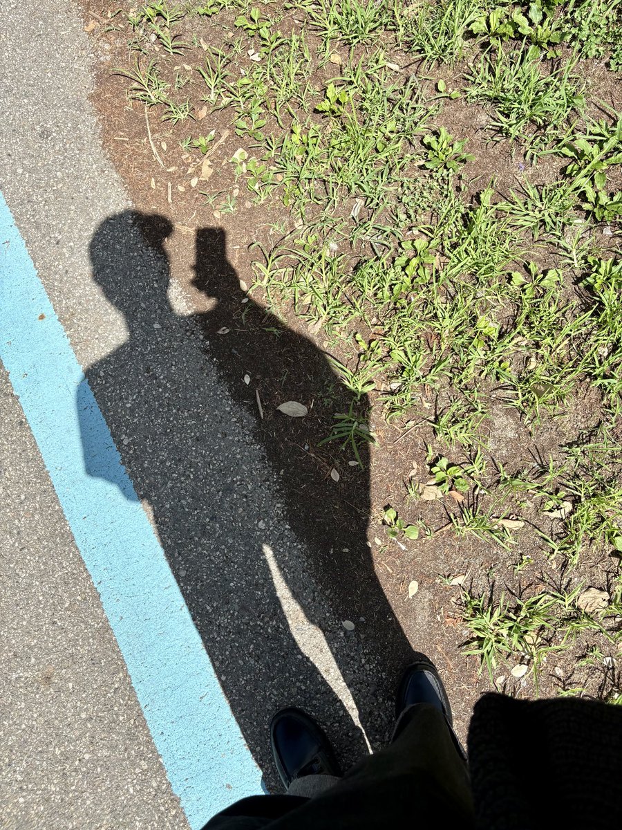 hanabi7865's tweet photo. 🦖: "Kalau aku udah selesai, kita jalan-jalan yuk? 😎"

"Soondaengies ku juga semoga memulai hari ini dengan semangat ya!!"

"Nanti aku mampir lagi. 👍"

"🔜"

"📷"

"Ah... mataharinya terik banget..."

"Tadi padahal anginnya sejuk banget..."

"📷" https://t.co/T7OBSAgX1g