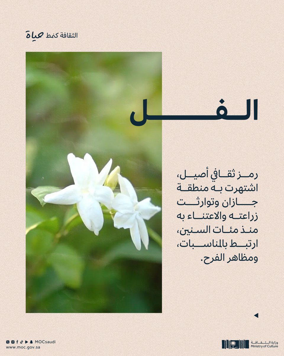 MOCSaudi's tweet photo. الفل.. حضورٌ يزهر في مناسباتنا، وحكاياتنا.

#الثقافة_كنمط_حياة
#وزارة_الثقافة https://t.co/Vk5TC3N995