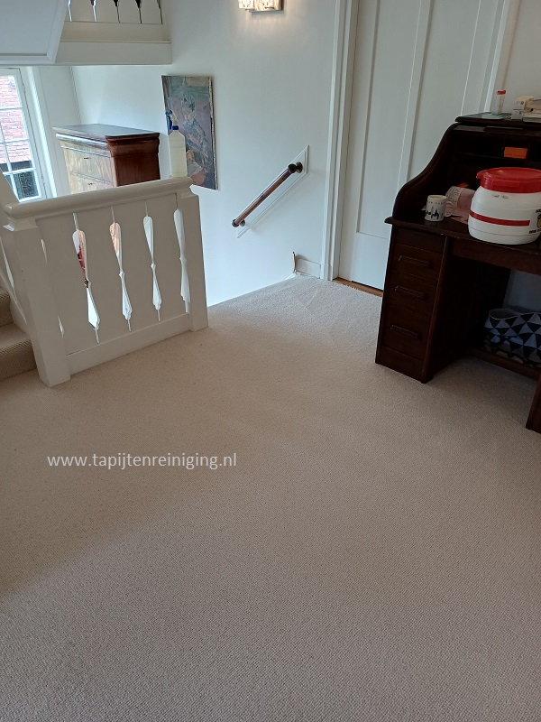TapijtSCHOON's tweet photo. Tapijt reinigen in #Oegstgeest. 
Tapijt is goed opgeknapt na diepe reiniging.
Ook #traptapijt ziet er weer fris uit. 

https://t.co/pSYPYSm9AI https://t.co/mBmZFoGaiw
